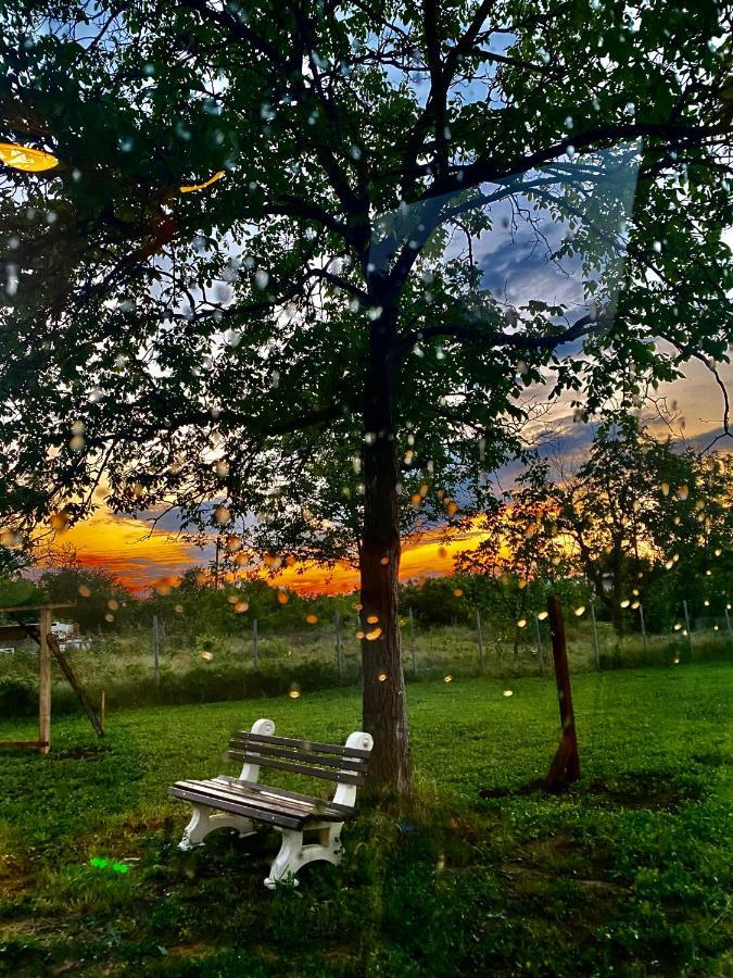 Caravans 10 Min To Tsonevo Lake & 35 Min To Black Sea Ngoại thất bức ảnh