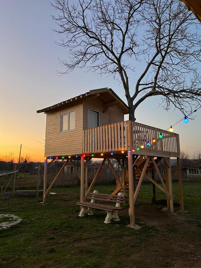 Caravans 10 Min To Tsonevo Lake & 35 Min To Black Sea Ngoại thất bức ảnh